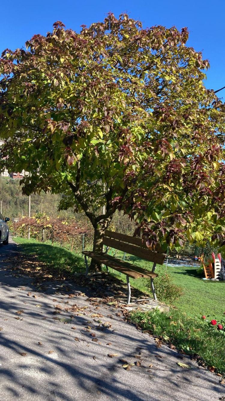 Cascina Uertigher Gorno Exterior foto