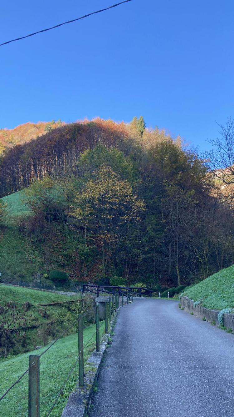 Cascina Uertigher Gorno Exterior foto